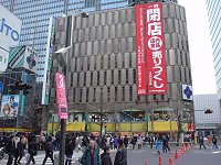ヤマギワ