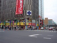 ヤマギワ